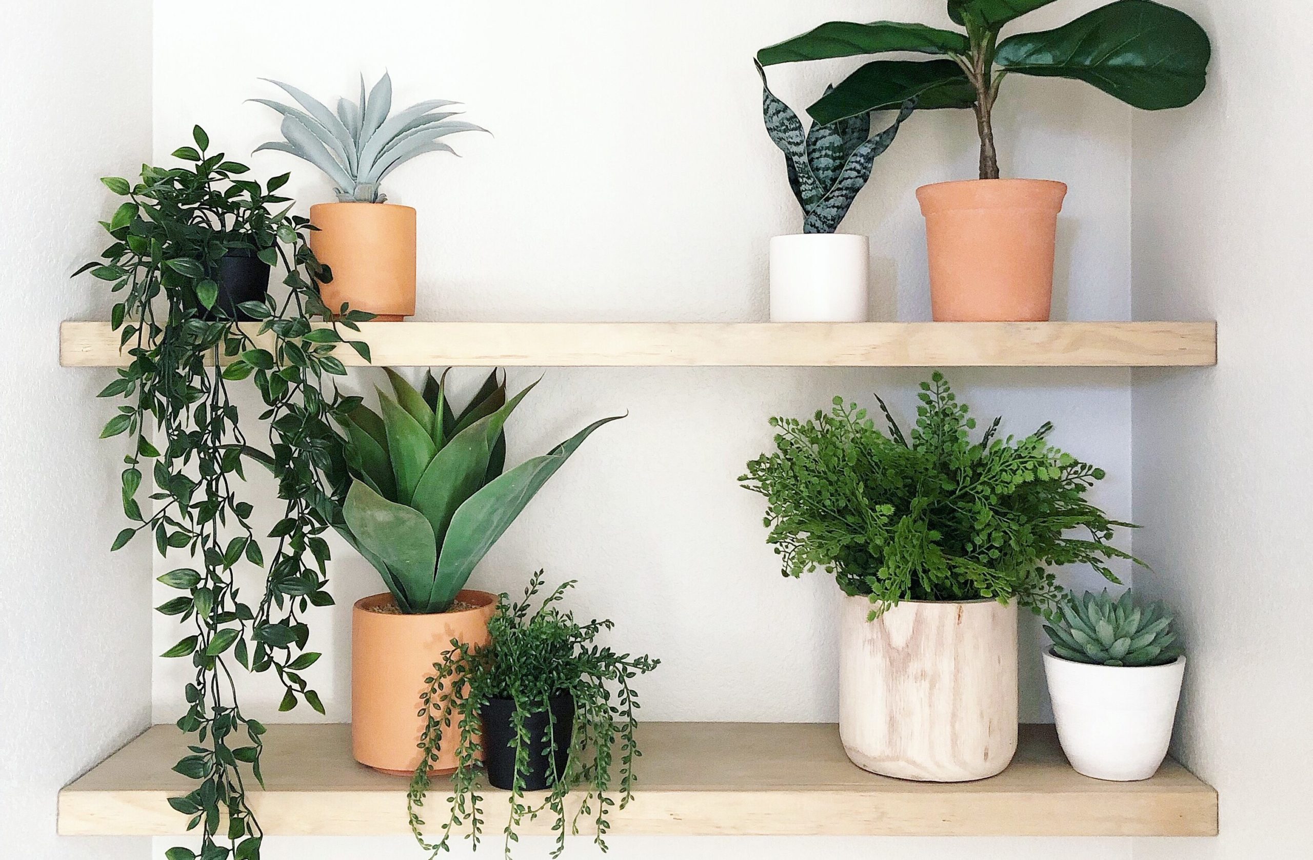 Cute Artificial Plants Angela Rose Home