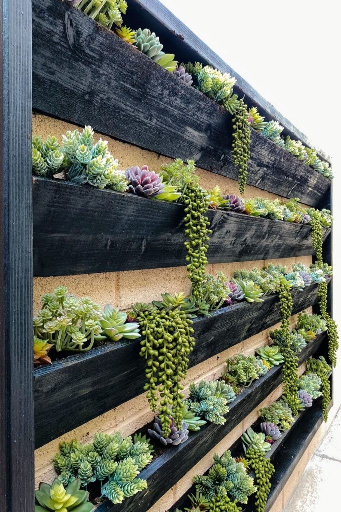 diy planter wall