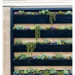 make this planter wall