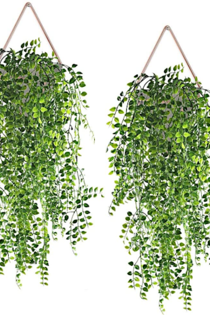 hanging ivy vines are an affordable option www.angelarosehome.com
