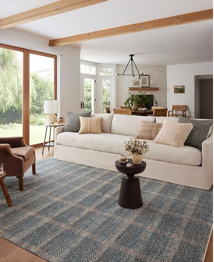 Blue/beige area rug staged in a neutral living room.